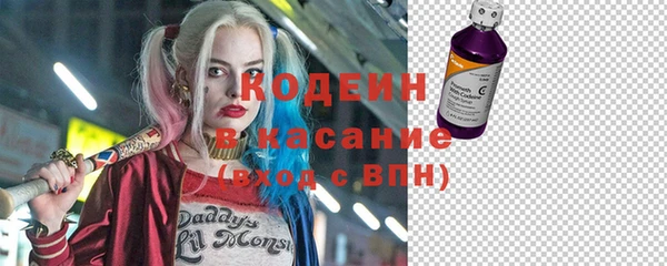 дживик Пересвет