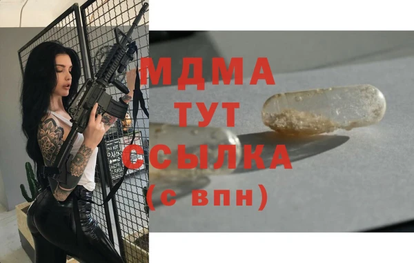 дживик Пересвет