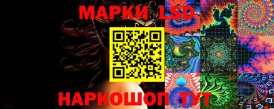 спиды Донской