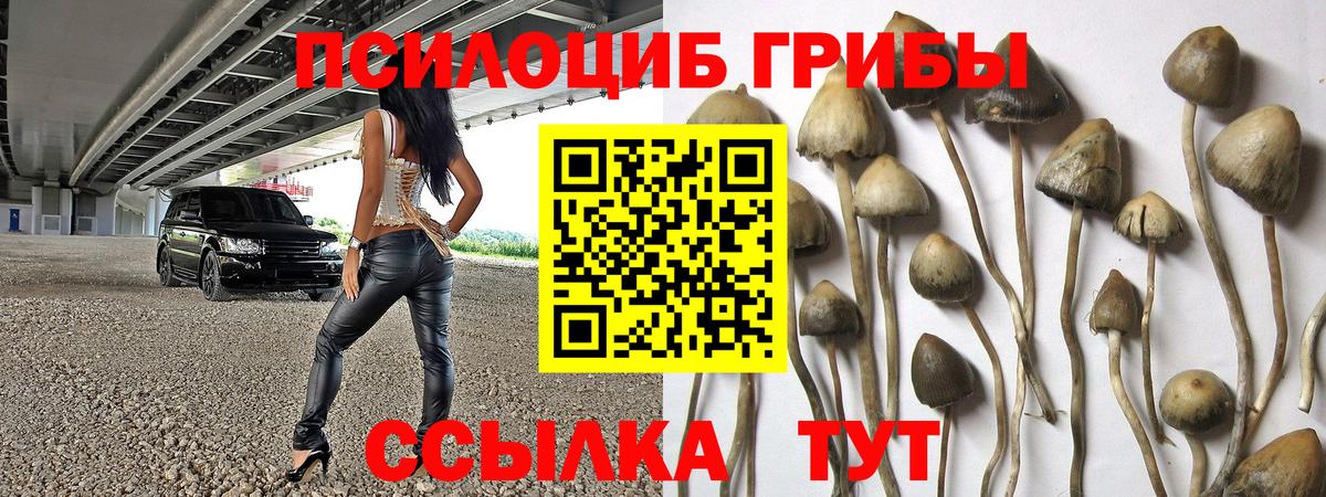 Родники  Псилоцибиновые грибы Psilocybine cubensis  продажа наркотиков  Вход с VPN 